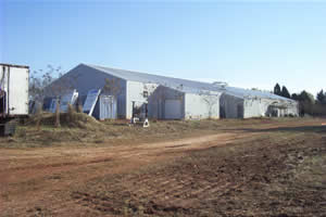 Manufacturing facility in York, South Carolina